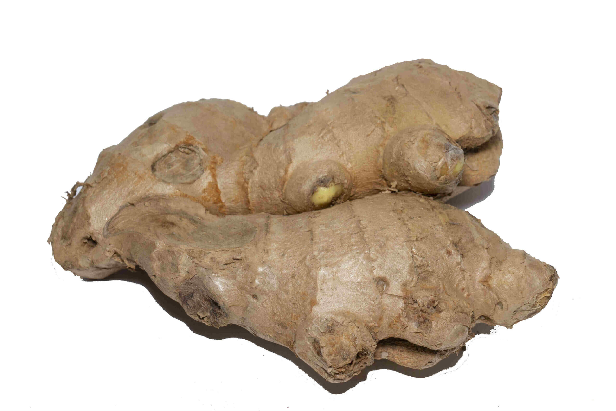 זנגביל ירוק