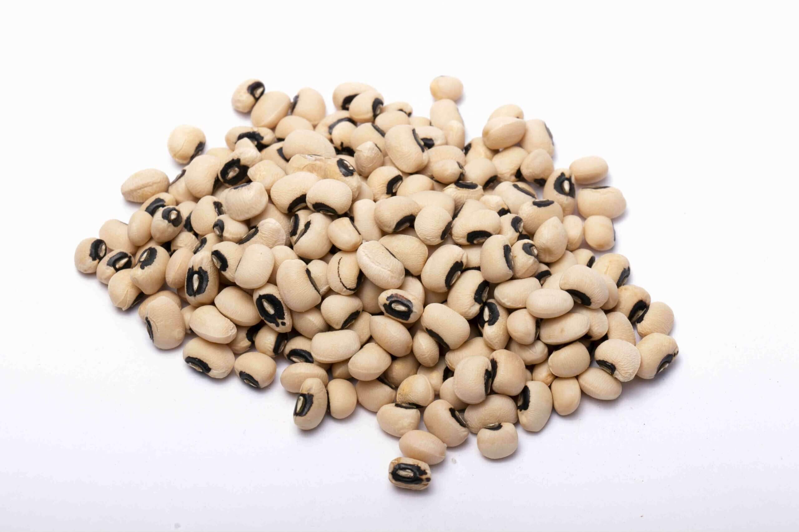 VIGNA SEEDS