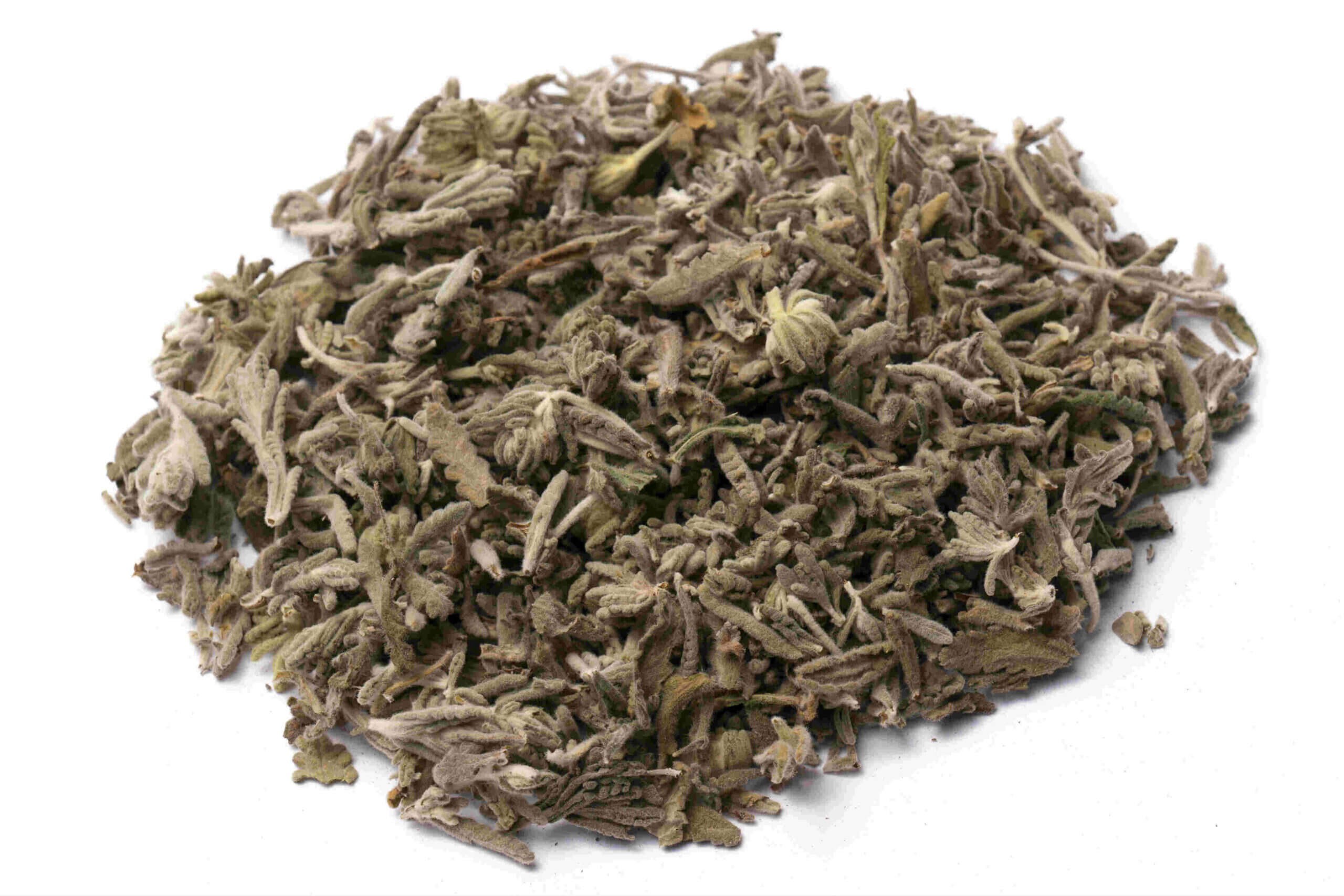 TEUCRIUM CAPITATUM/TEUCRIUM POLIUM