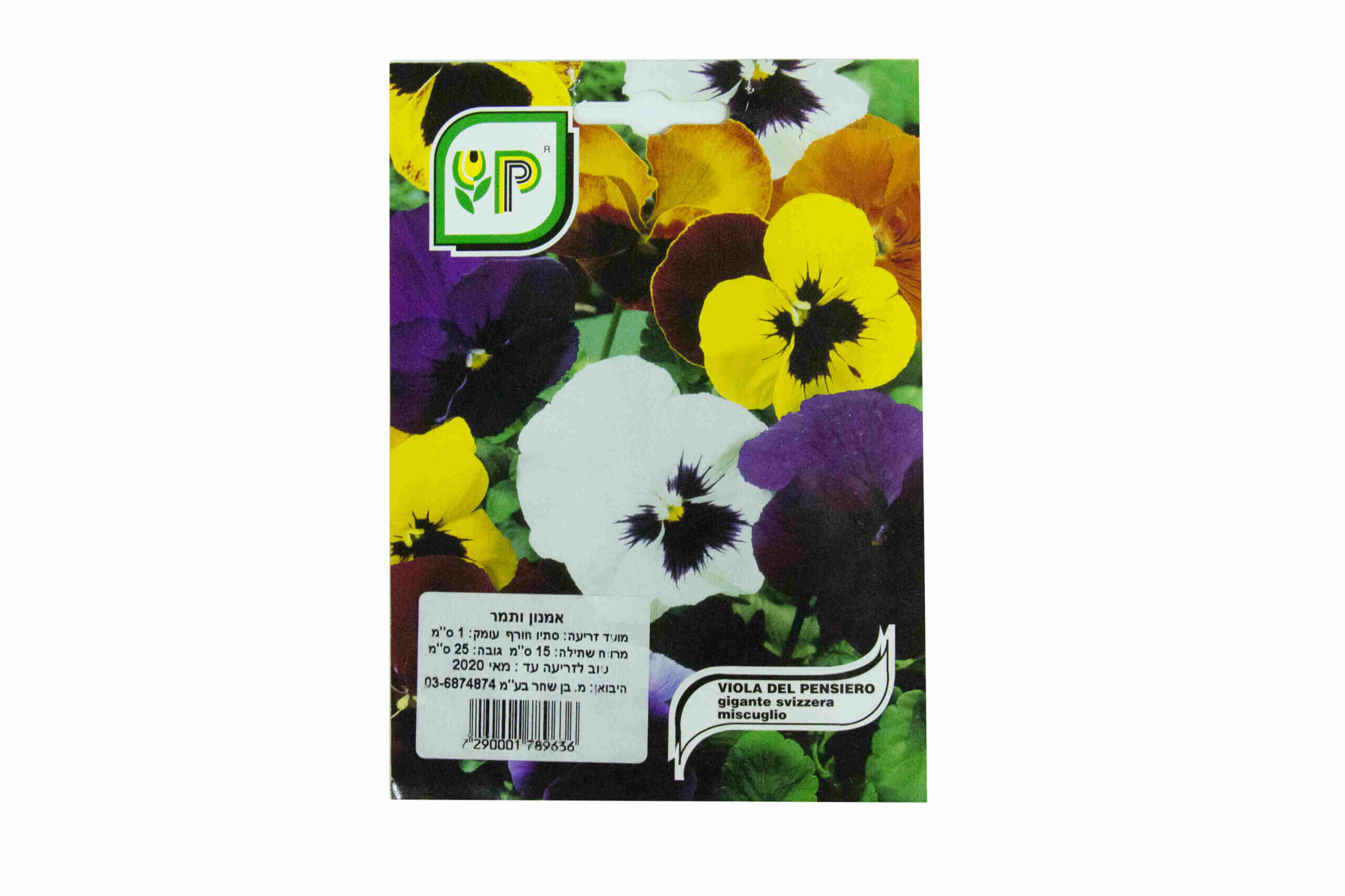 VIOLA DEL PENSIERO GIGANTE