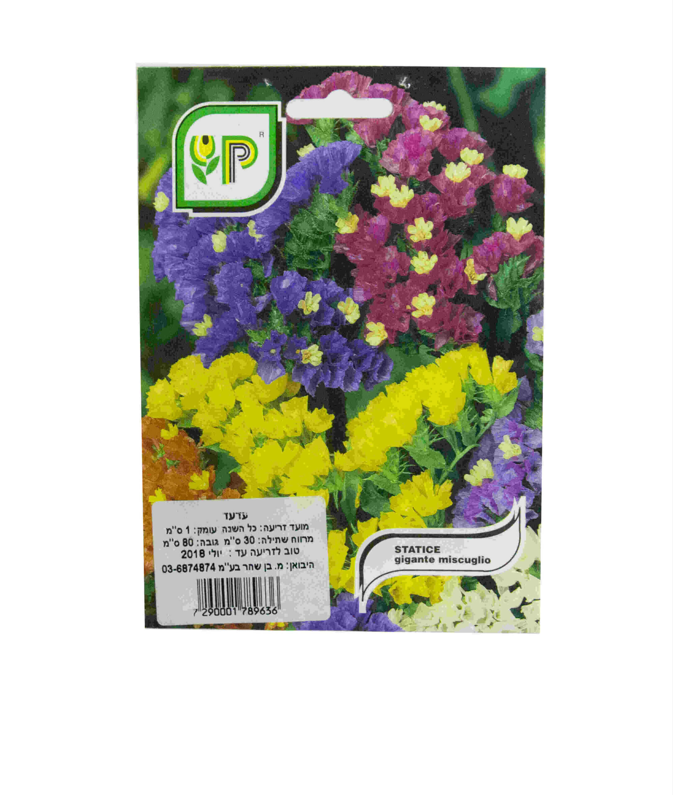 STATICE GIGANTE MISCUGLIO