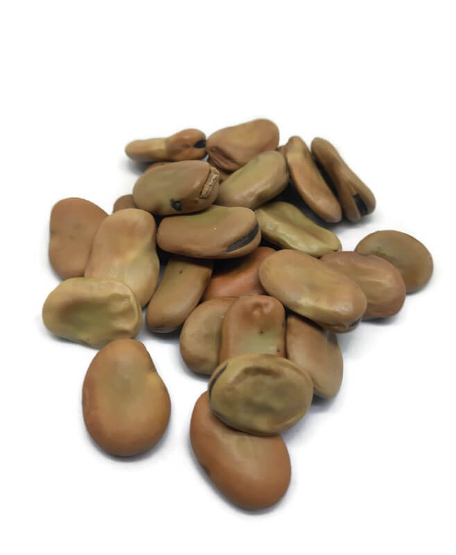 FABA BEANS