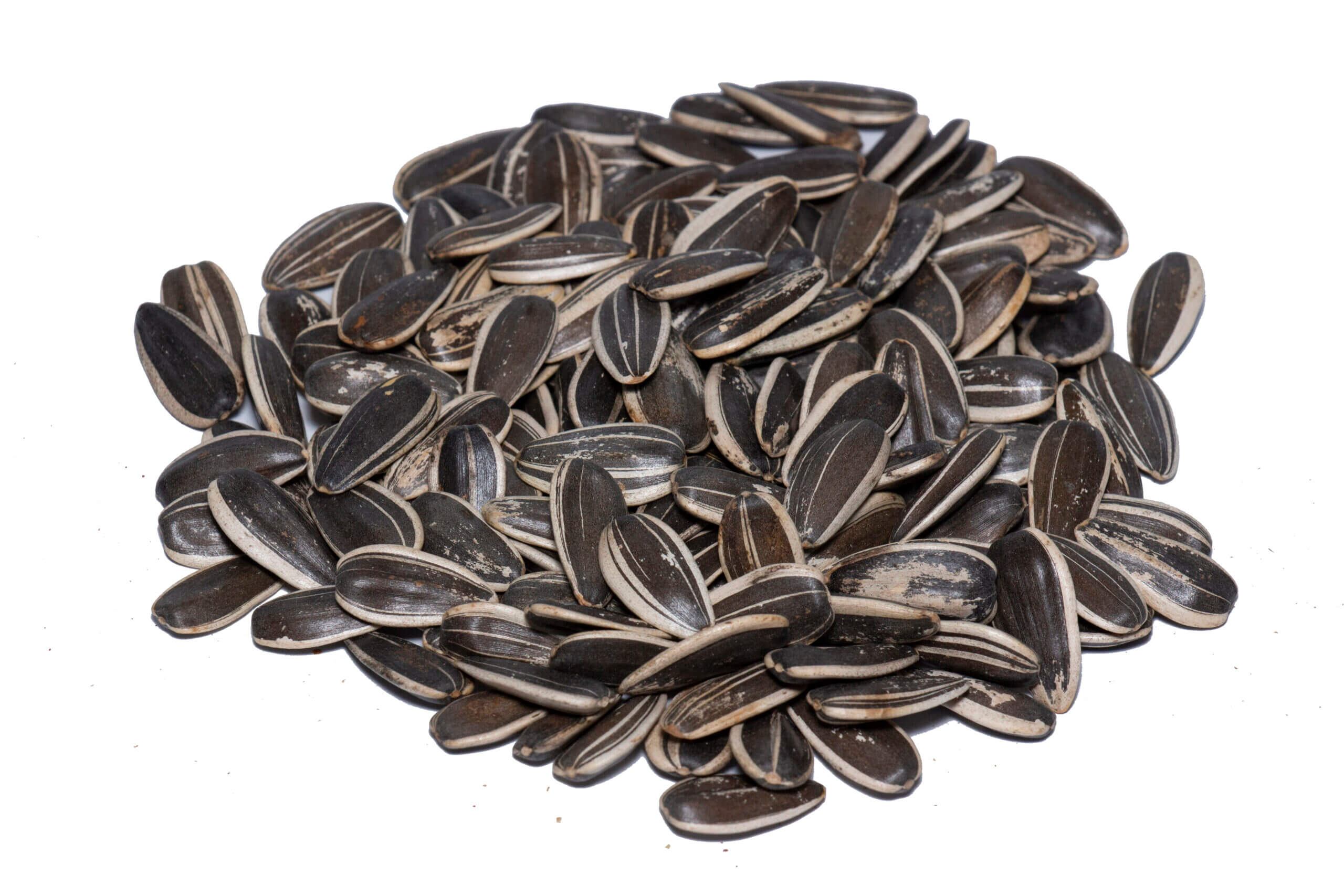 Sunflower seeds