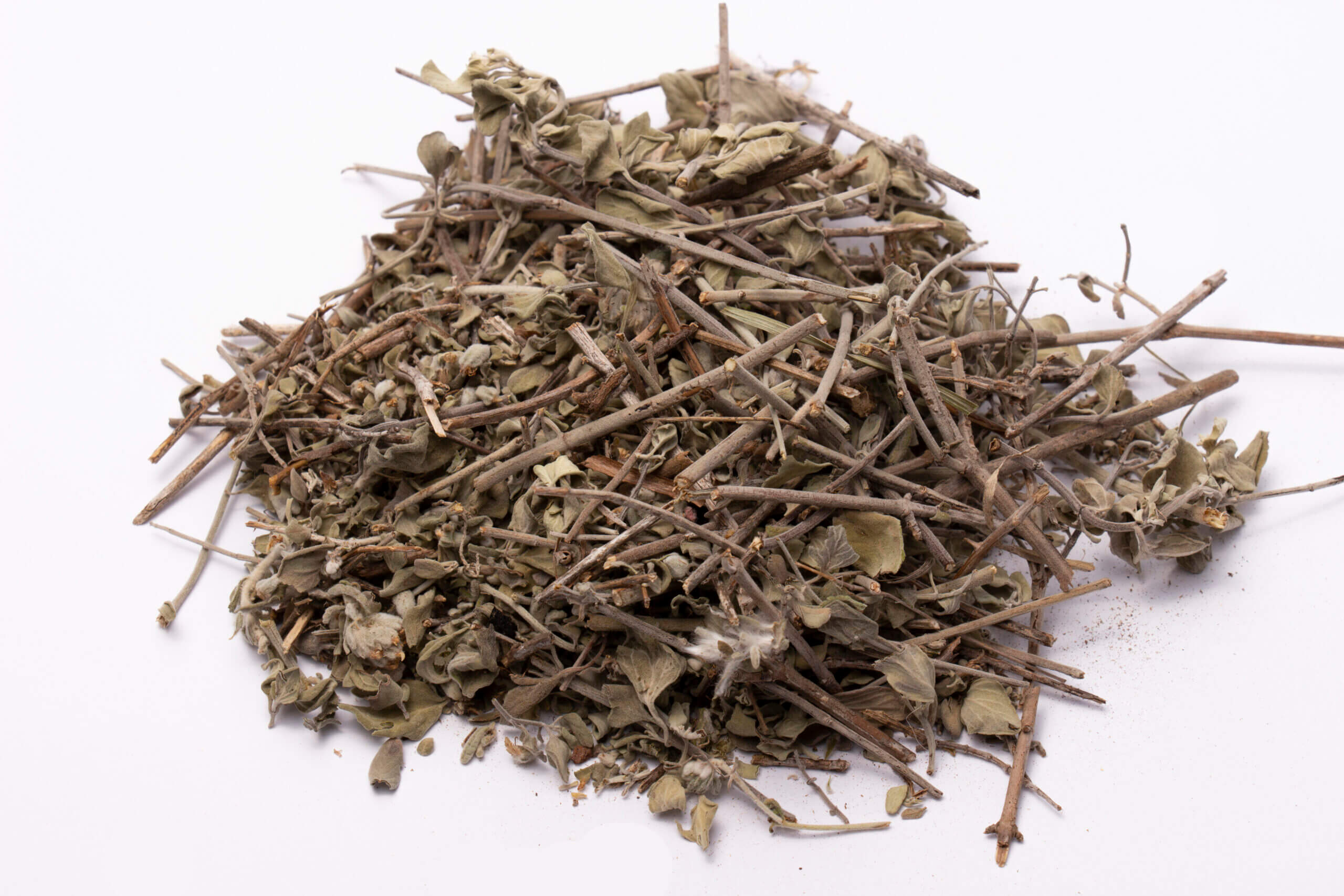 Micromeria fruticosa