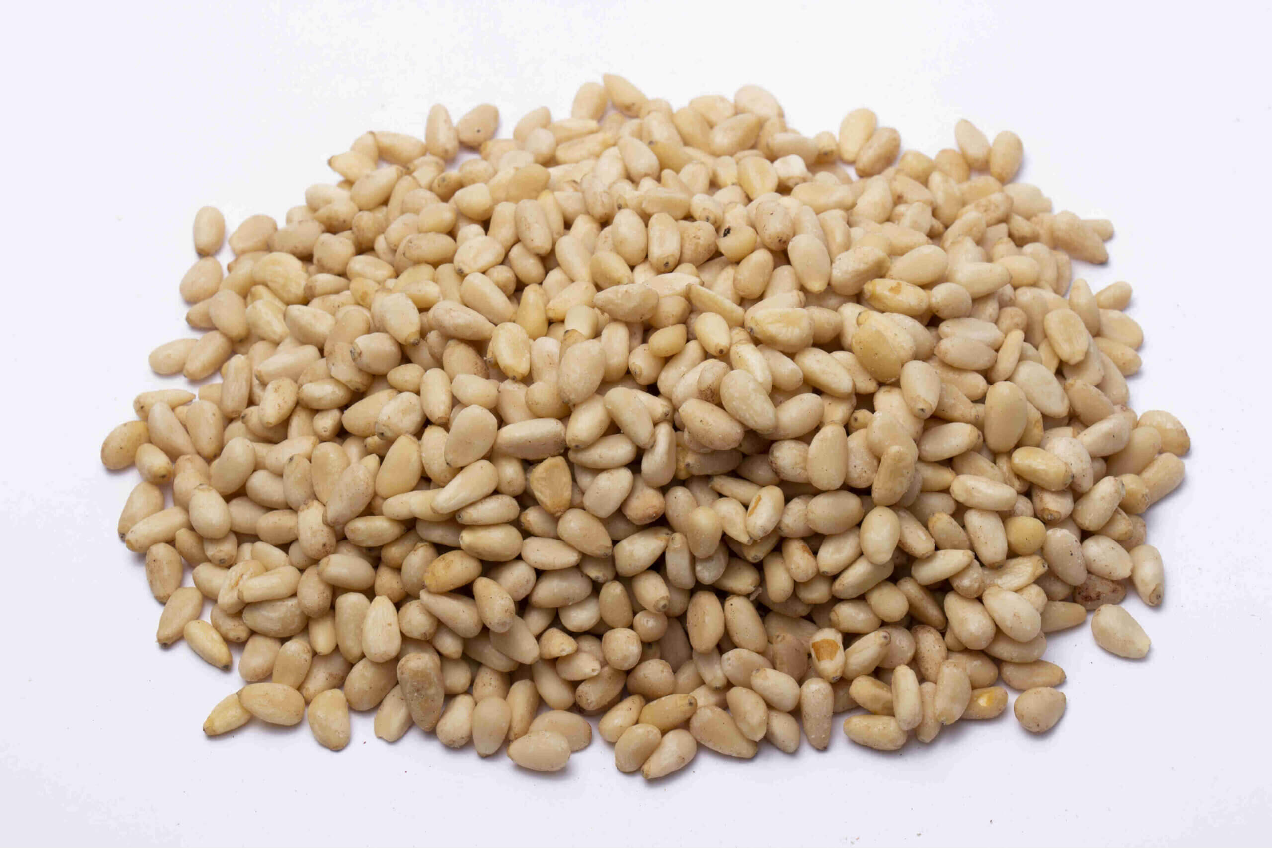 صنوبر حب وسط