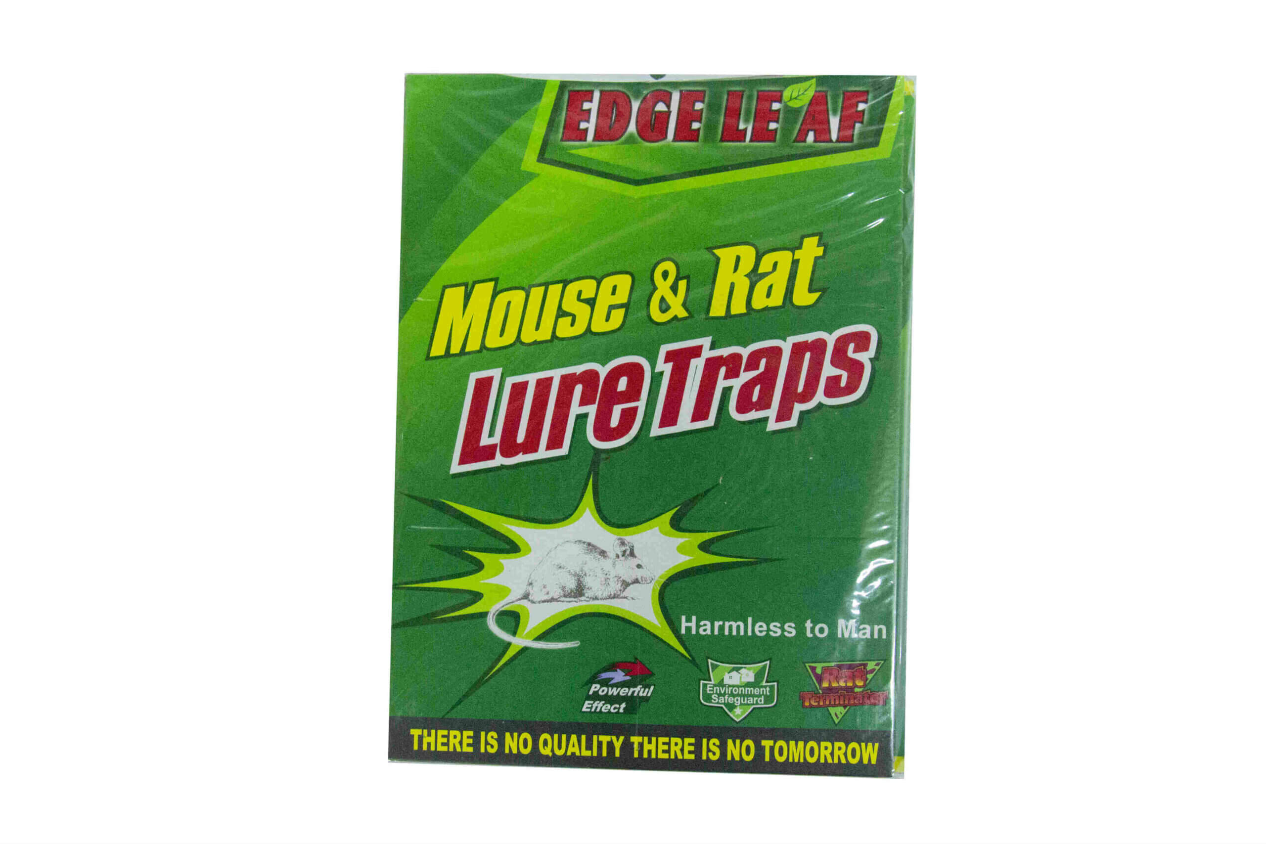 מלכודת דבק ענקית לחולדות ועכברים