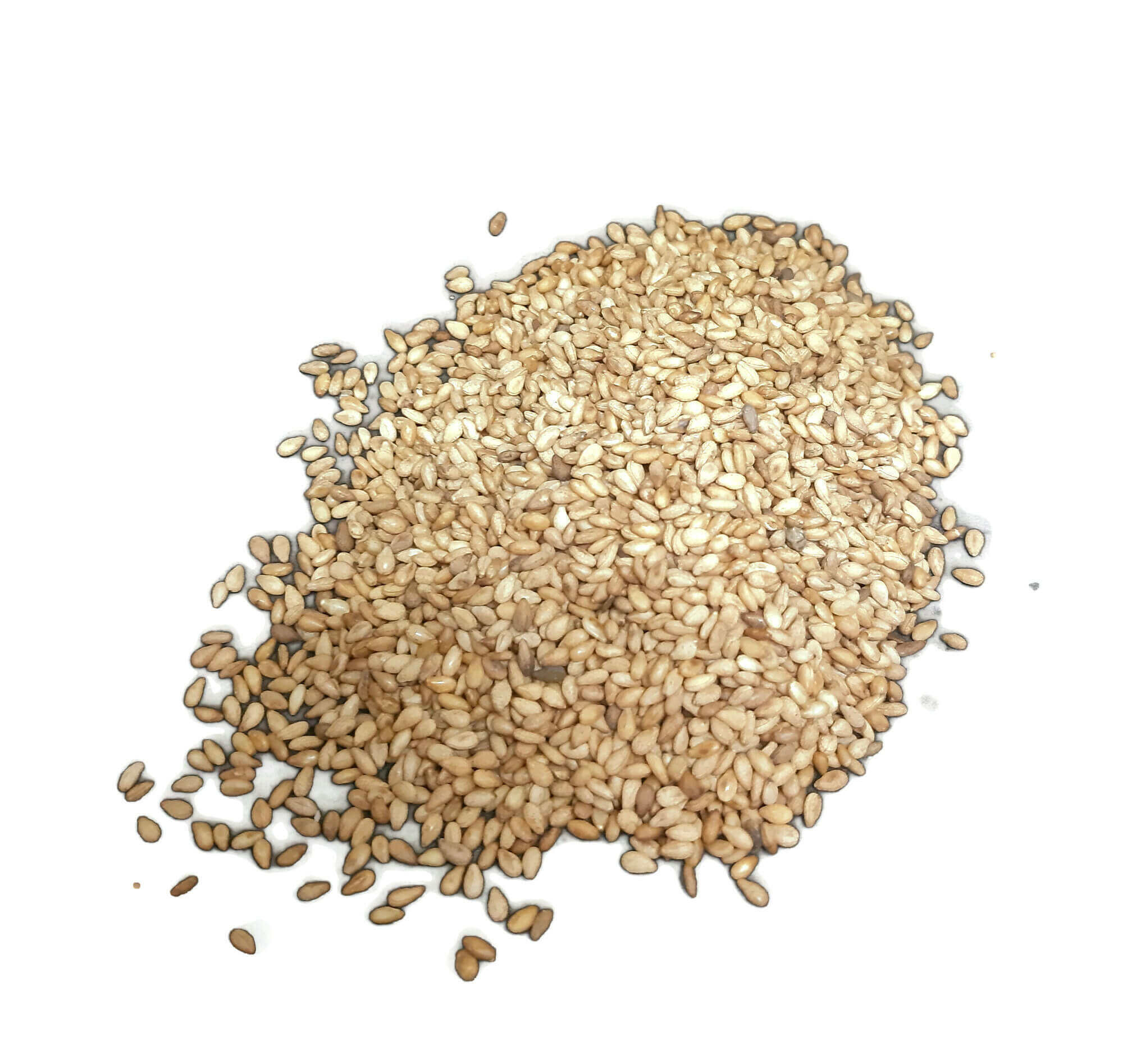 Sesame Gold Grounded