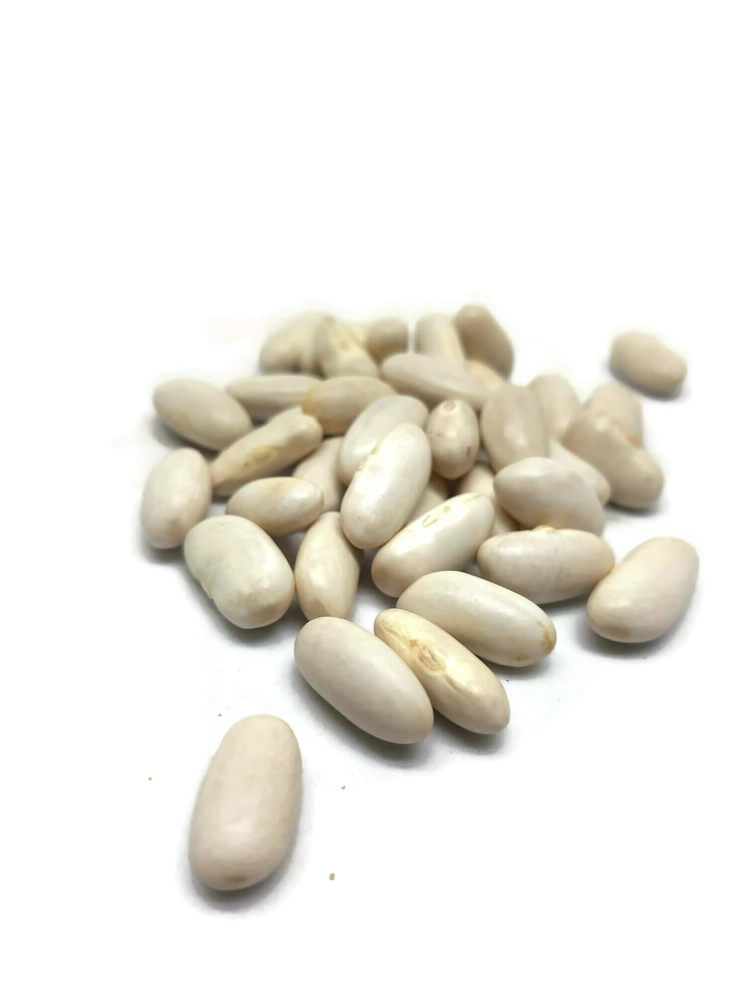 שעועית בינונית