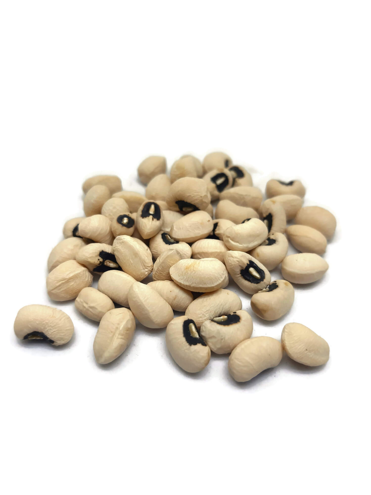 שעועית קטנה