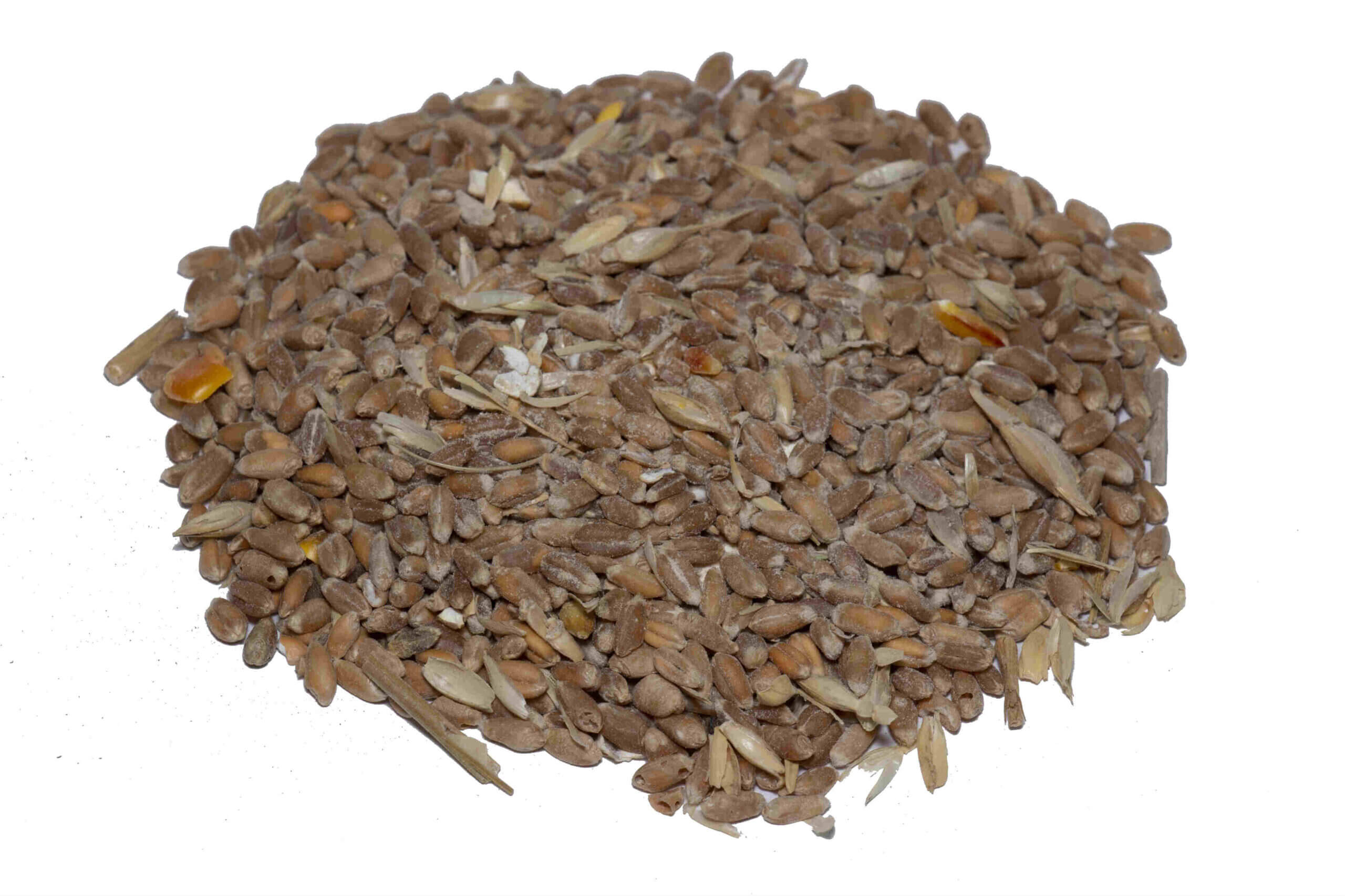 חיטה לתרנגולת ויונים